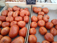 tomates coeur de boeuf bio producteur local 82 vegan saison ramonville
