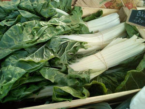 blettes toulouse direct producteur potager légumes
