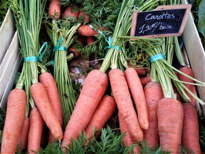 vente carottes botte producteur haute garonne potager d'ici