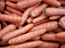 carottes vrac agriculture raisonnée toulouse potager d'ici