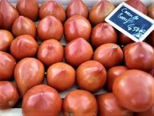 tomates coeur de boeuf paniers amap vente achat direct producteurs
