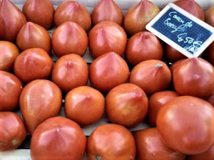 tomates coeur de boeuf paniers amap vente achat direct producteurs