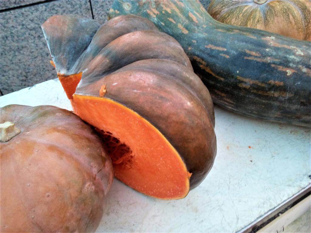 potiron producteurs toulouse 31 restauration launaguet équilibre fruits et légumes