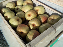 vente poire comice toulouse direct producteur fruits amap