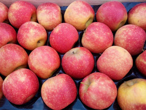 pommes ariane agriculture raisonnée sans traitement livraison 82 reynies 