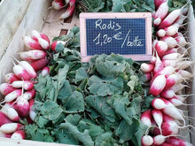 radis direct producteur haute garonne occitanie potager d'ici végétarien
