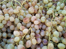 raisin italia producteur Toulouse 5 fruits et légumes par jour santé bio
