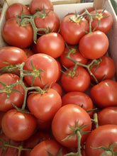 tomate grappe toulouse producteurs locaux sans traitement paniers et détail